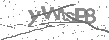 visual captcha